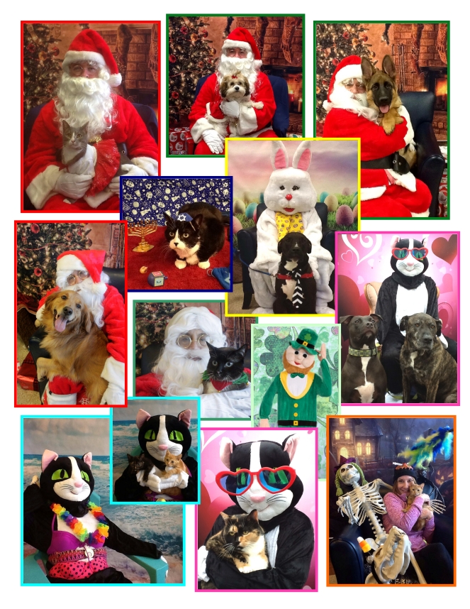 Previous Event Holiday Pet Photos