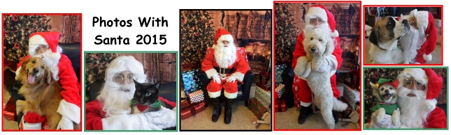 Previous Event Holiday Pet Photos