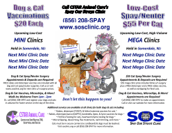 SOS Clinic Flyer