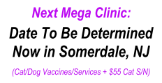 Next Mega Clinic Date