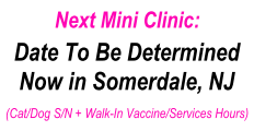Next Mini Clinic Date