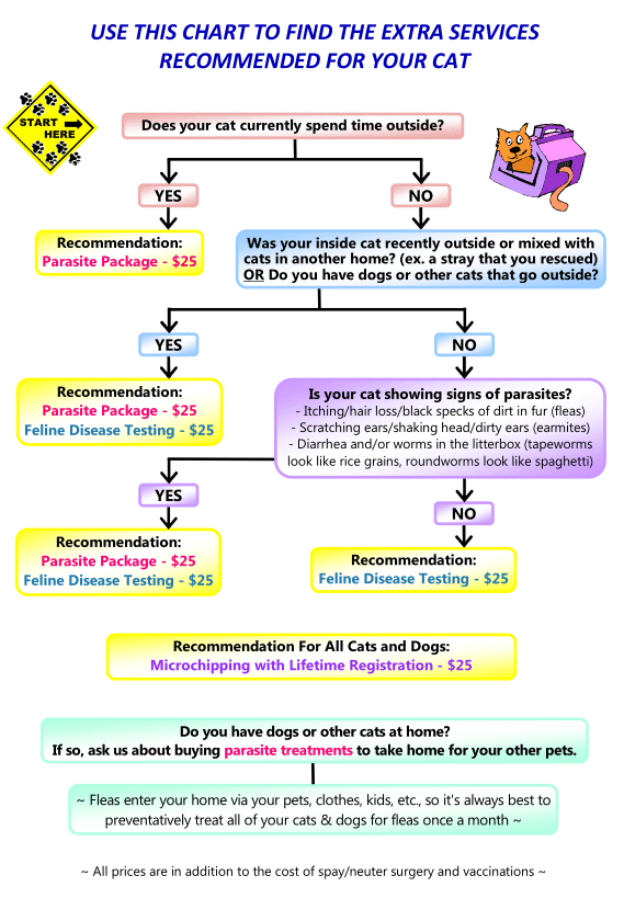 Cat Recommended Services Chart