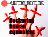 Declawing - Human Fingers