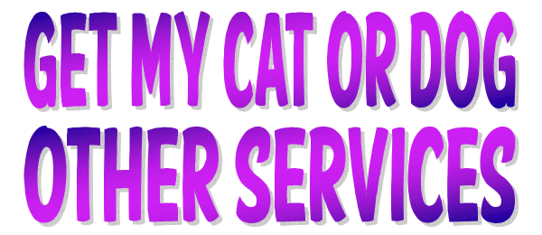 Help Me Get My Cat or Dog Other Services