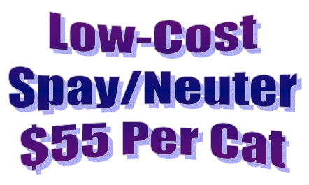 Low-Cost Spay/Neuter