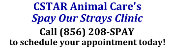 Call (856) 208-SPAY