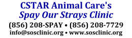 Call (856) 208-SPAY