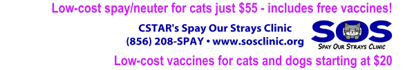 CSTAR's Spay Our Strays Clinic