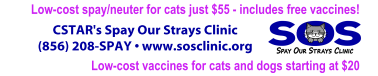 CSTAR's Spay Our Strays Clinic